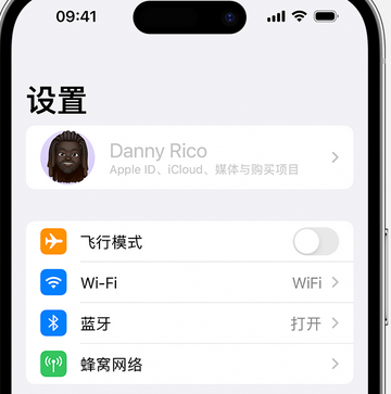 正宁appleID维修服务iPhone设置中Apple ID显示为灰色无法使用 