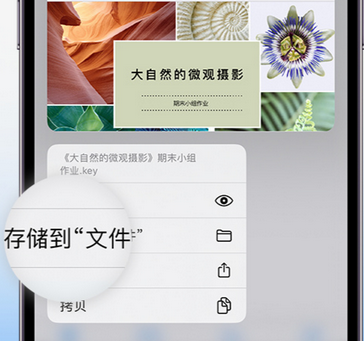 正宁apple维修中心分享iPhone文件应用中存储和找到下载文件