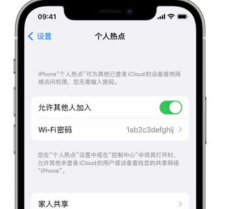 正宁apple服务站点分享iPhone上个人热点丢失了怎么办