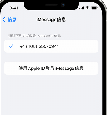 正宁apple维修iPhone上无法正常发送iMessage信息 