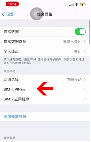 正宁苹果14维修网分享如何给iPhone14的SIM卡设置密码 