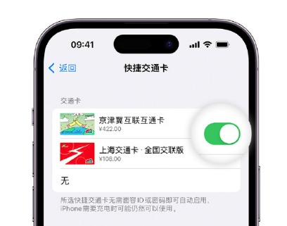 正宁apple维修点分享iPhone上更换Apple Pay快捷交通卡手绘卡面 