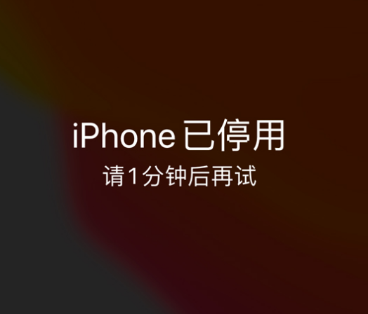 正宁苹果手机维修分享:iPhone 显示“不可用”或“已停用”怎么办？还能保留数据吗？ 