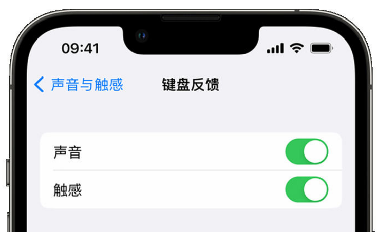 正宁苹果手机维修分享iPhone 14触感键盘使用方法 