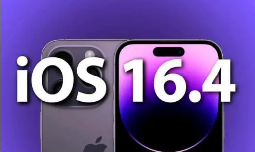 正宁苹果14维修分享：iPhone14可以升级iOS16.4beta2吗？ 