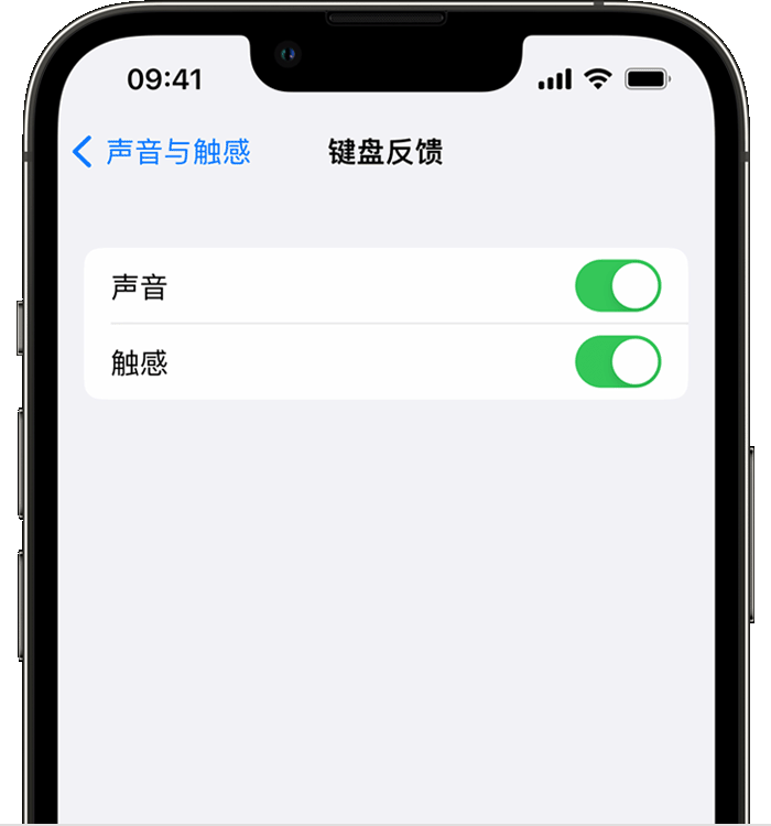 正宁苹果14维修店分享如何在 iPhone 14 机型中使用触感键盘 