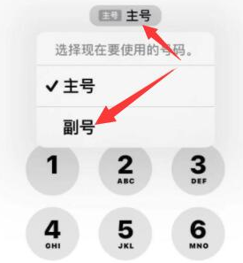 正宁苹果14维修店分享iPhone 14 Pro Max使用副卡打电话的方法 