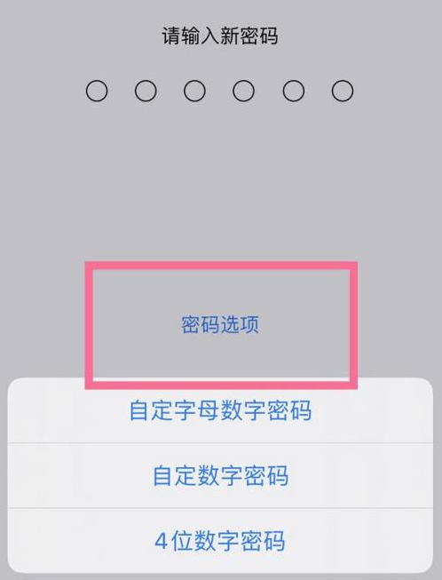 正宁苹果14维修分享iPhone 14plus设置密码的方法 