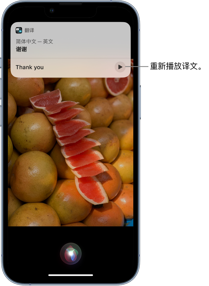 正宁苹果14维修分享 iPhone 14 机型中使用 Siri：了解 Siri 能帮你做什么 