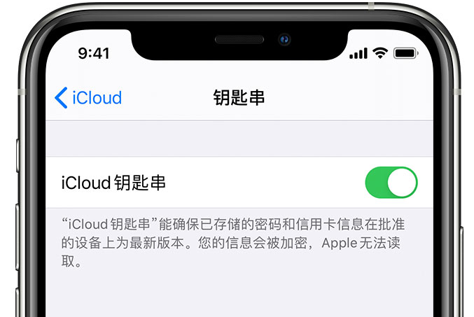 正宁苹果手机维修分享在 iPhone 上开启 iCloud 钥匙串之后会储存哪些信息 