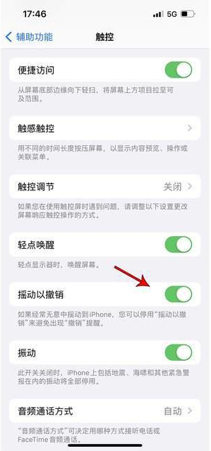 正宁苹果手机维修分享iPhone手机如何设置摇一摇删除文字 